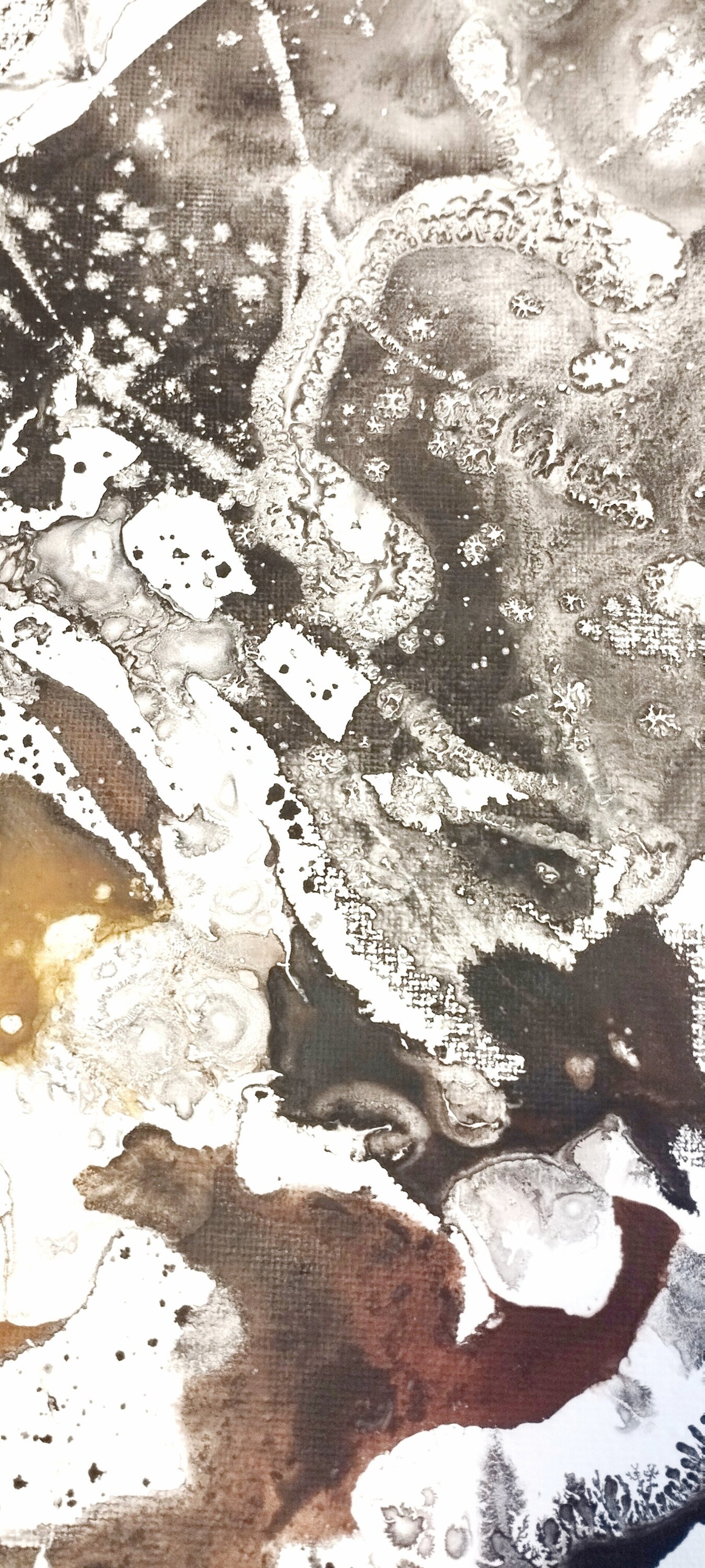 Fragmentos de Resistencia - 5