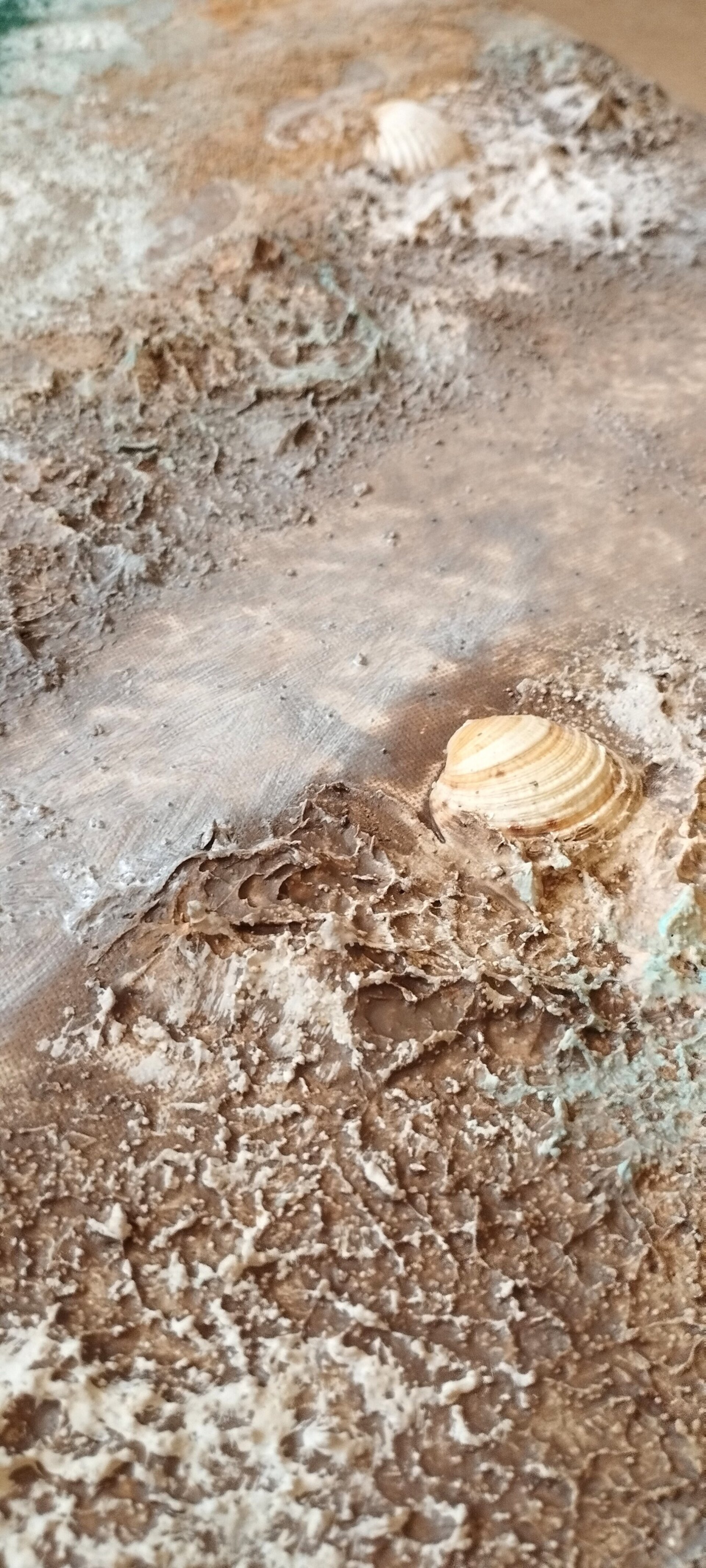Desde la Horilla del Mar - 8