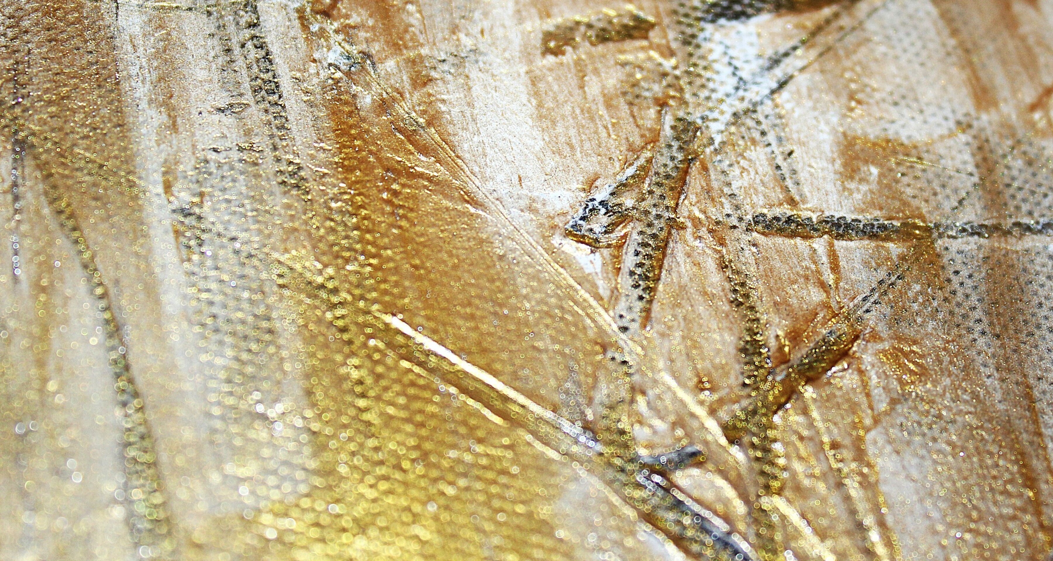 Cicatrices de sol - 5
