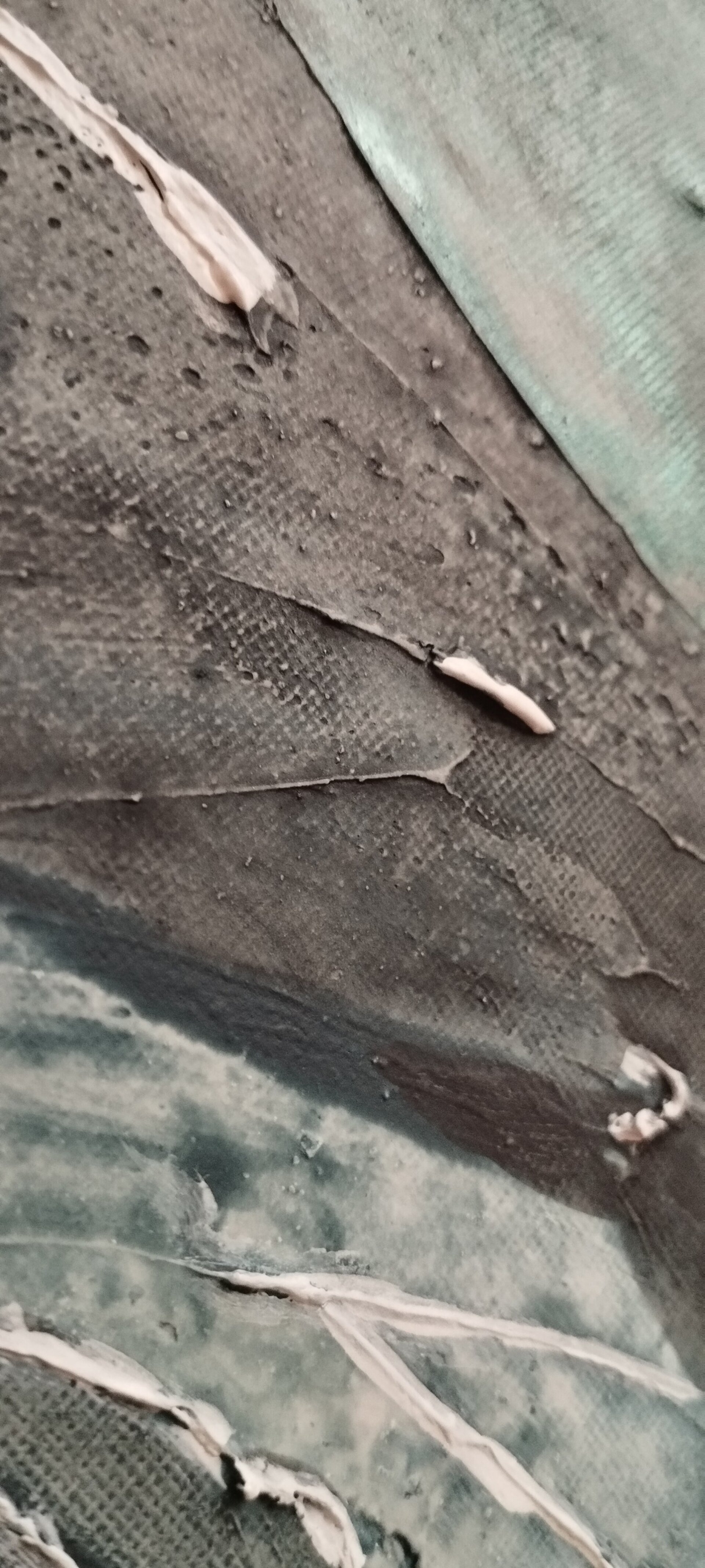 Mirada hacia el horizonte - 5