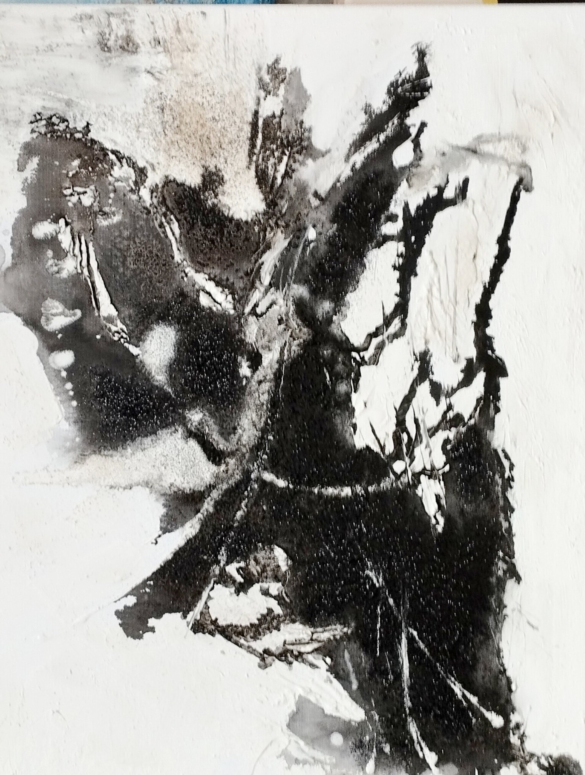 Blanco y Negro - 5